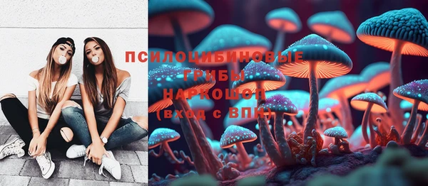 PSILOCYBIN Беломорск